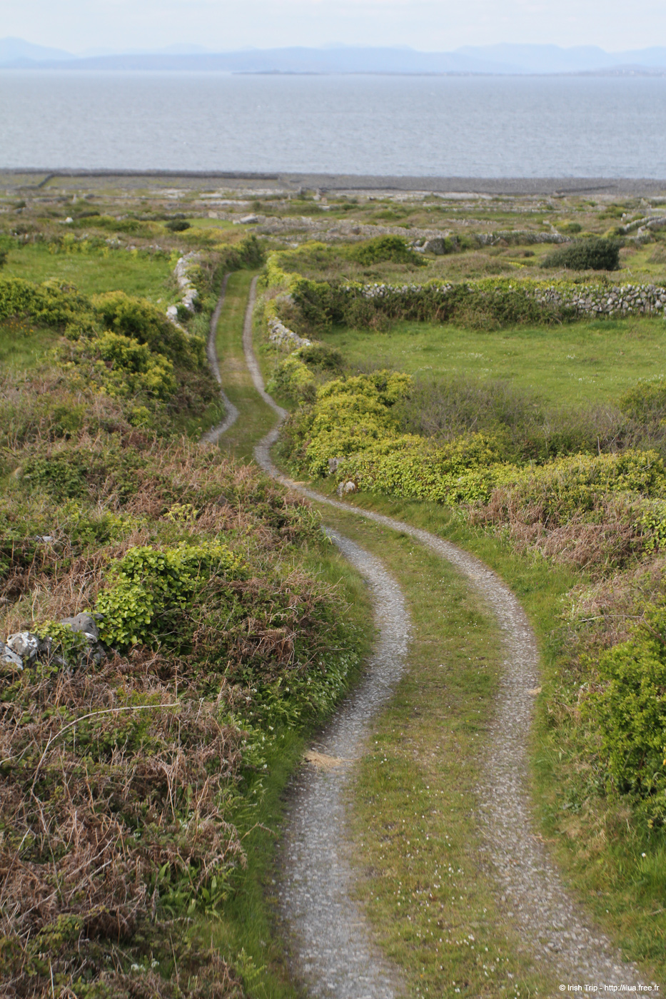 20120506_aransevenchurchway