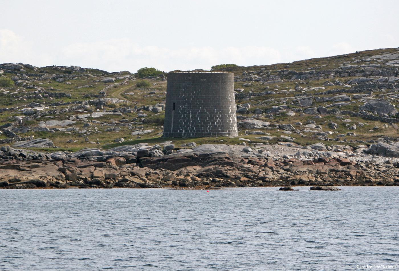 20120506_rossaveelmartellotowerfromcashlabay2