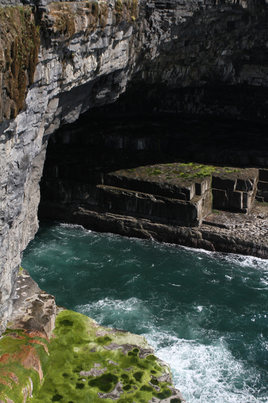 20120507_aranallianarehole01