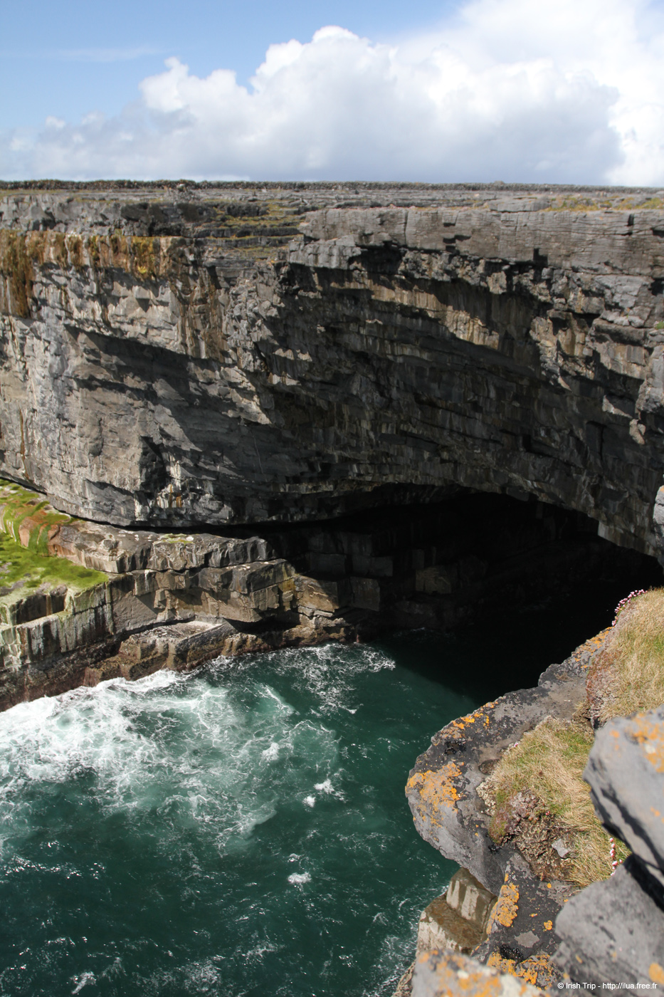 20120507_aranallianarehole02