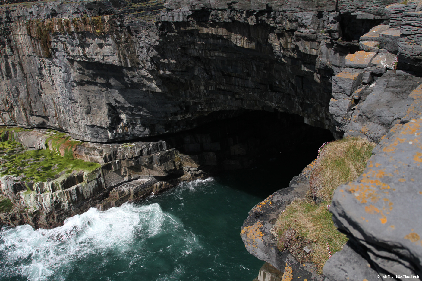 20120507_aranallianarehole03