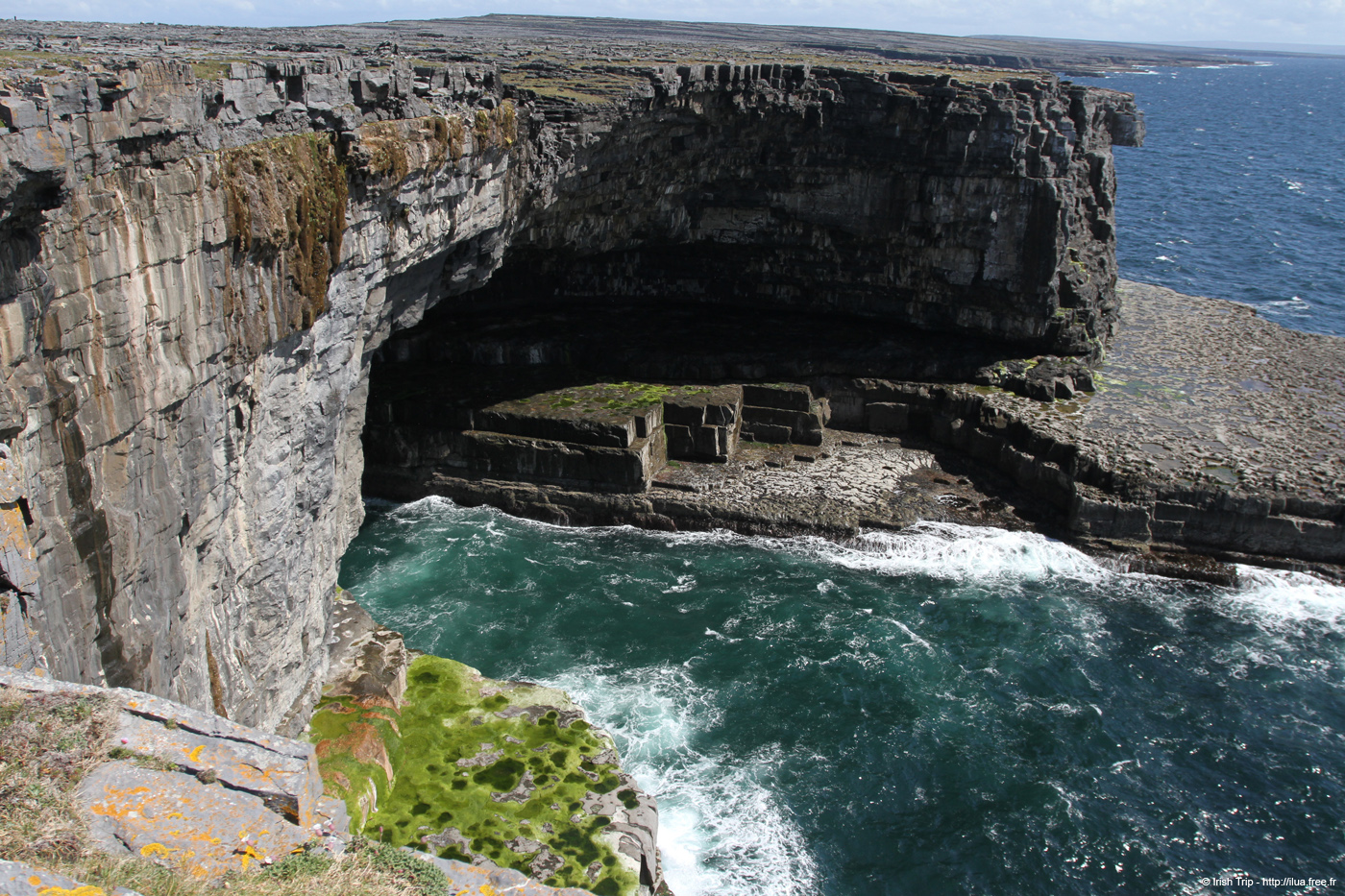 20120507_aranallianarehole04