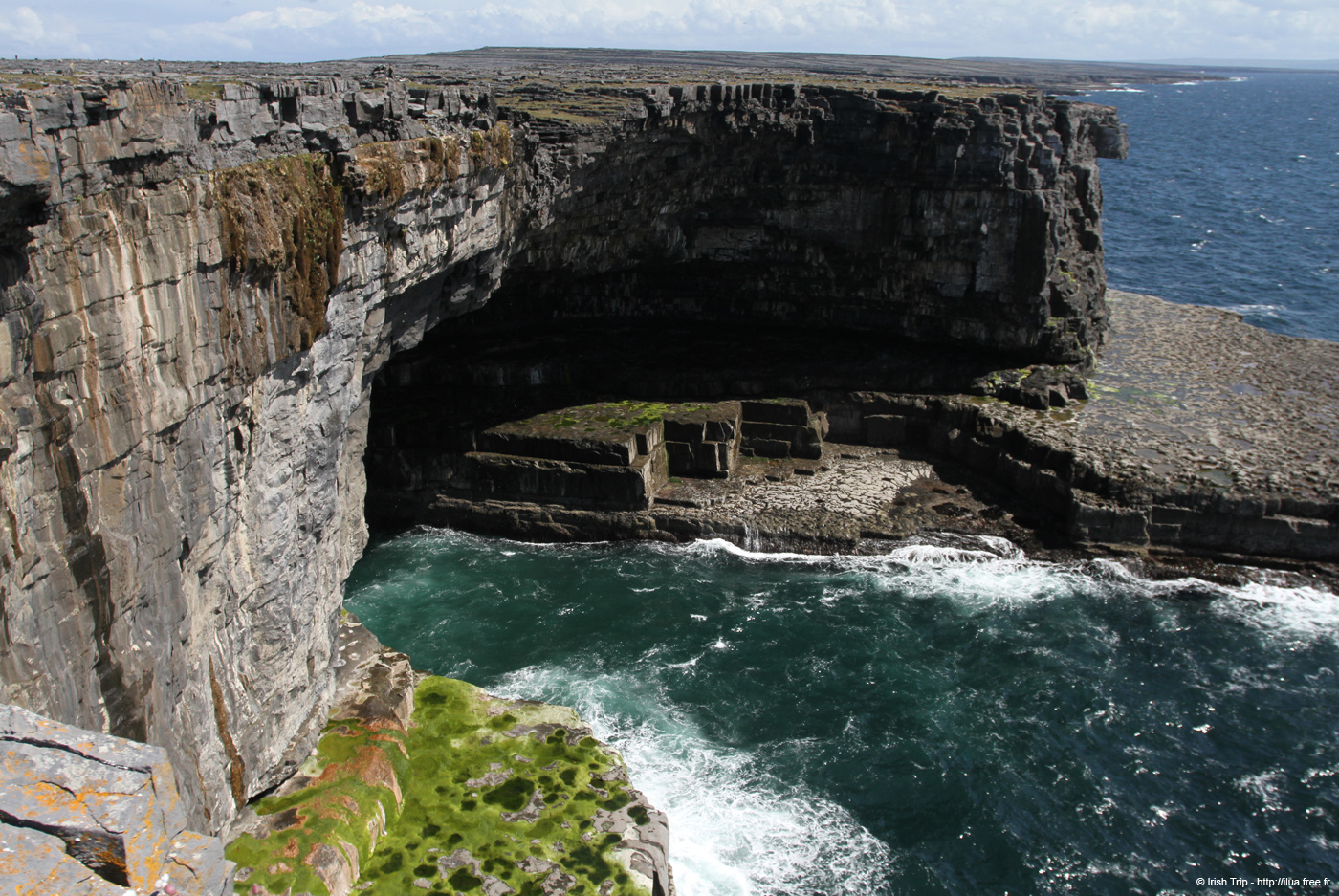 20120507_aranallianarehole05