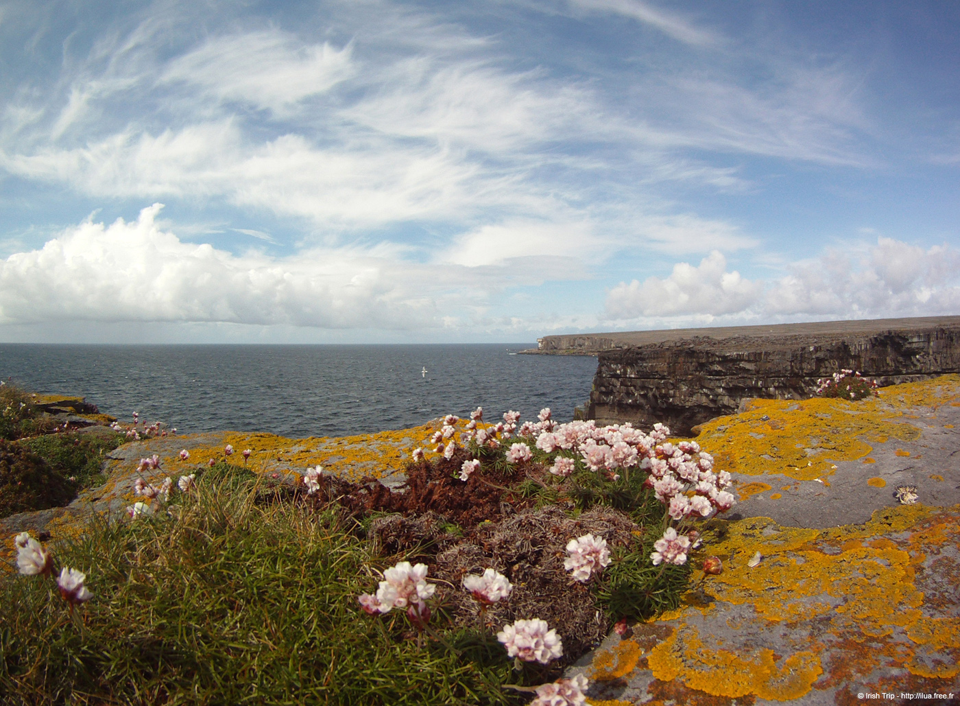 20120507_arandoonaghardheadw02