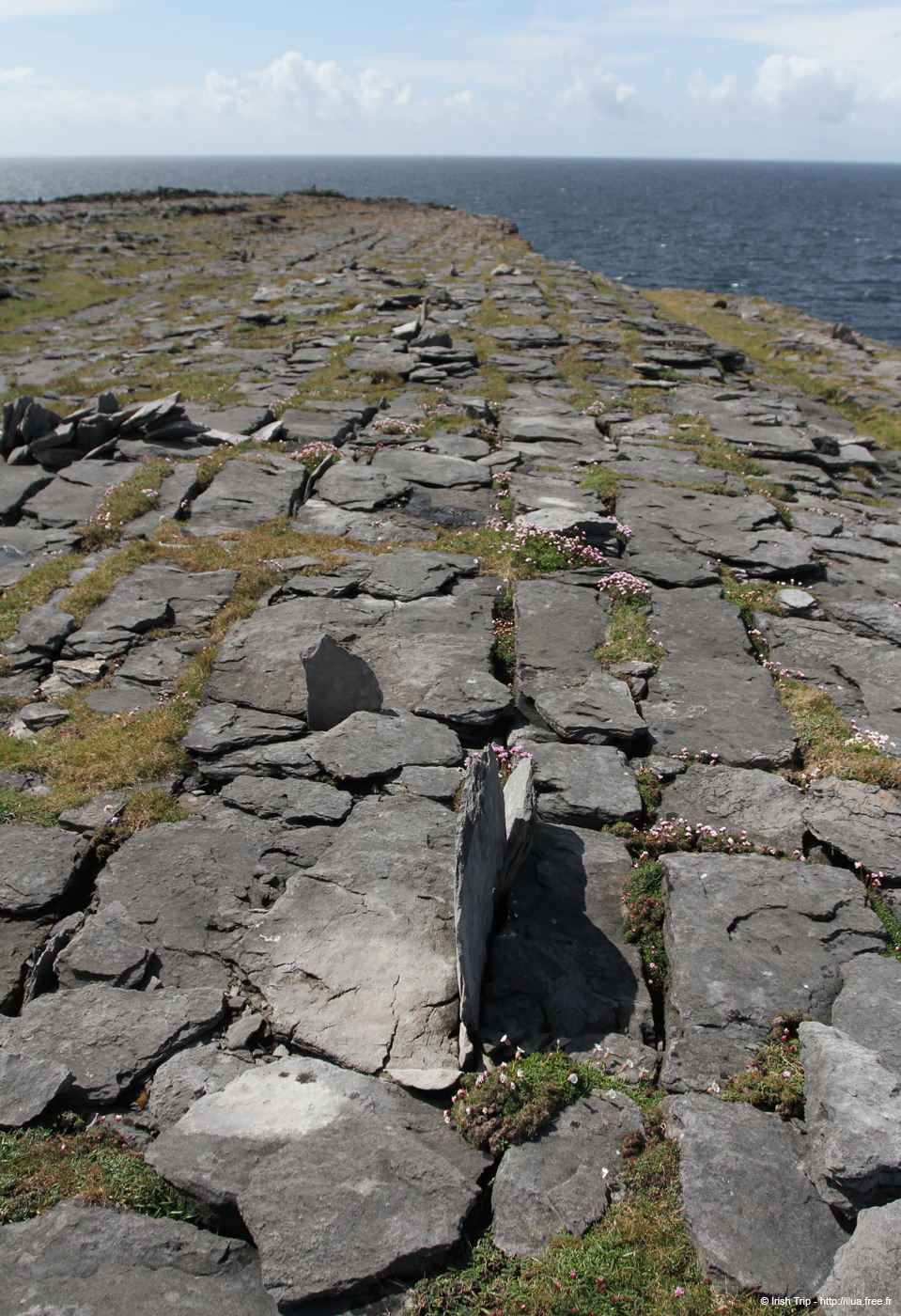 20120507_arandoonaghardheadw06