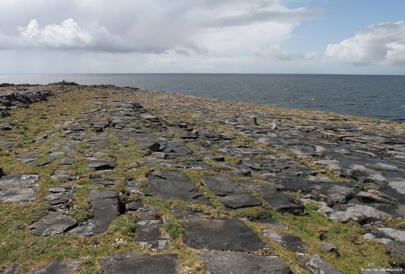 20120507_arandoonaghardheadw08