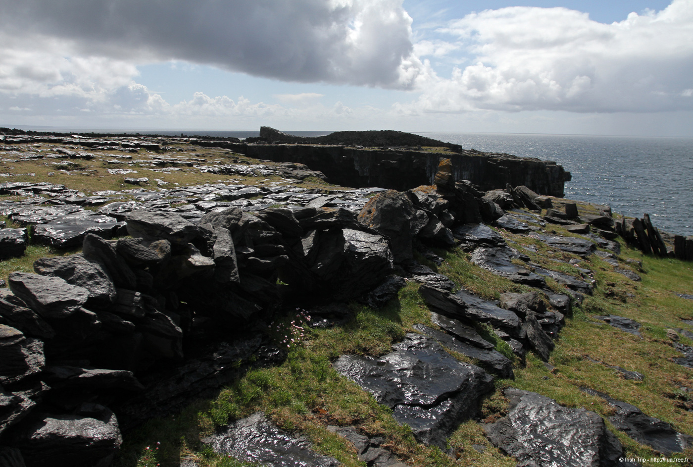 20120507_arandunduchathairfrombensheefrontee03