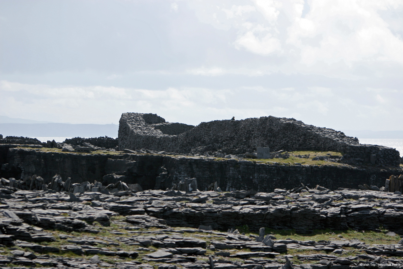 20120507_arandunduchathairfrombensheefrontee04