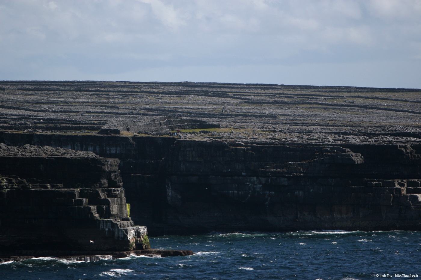 20120507_arandunduchathairfromwhirpeashead2