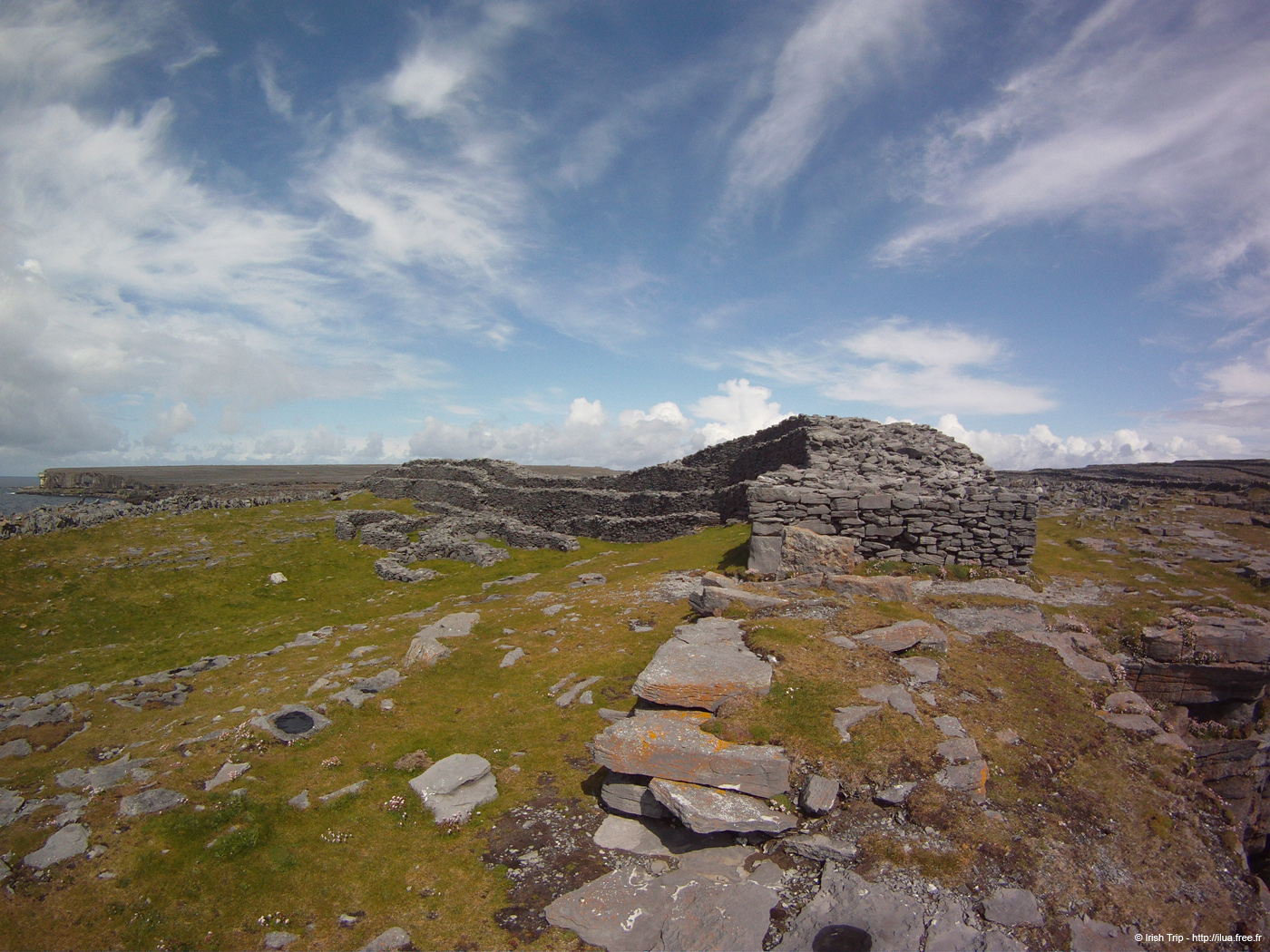 20120507_arandunduchathairin03