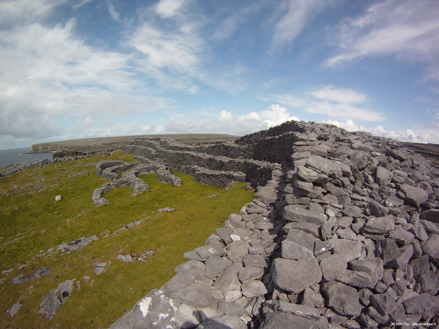 20120507_arandunduchathairin04