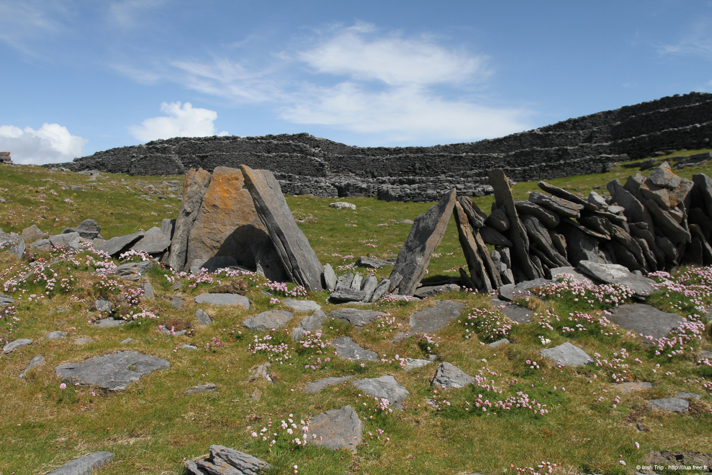 20120507_arandunduchathairin25
