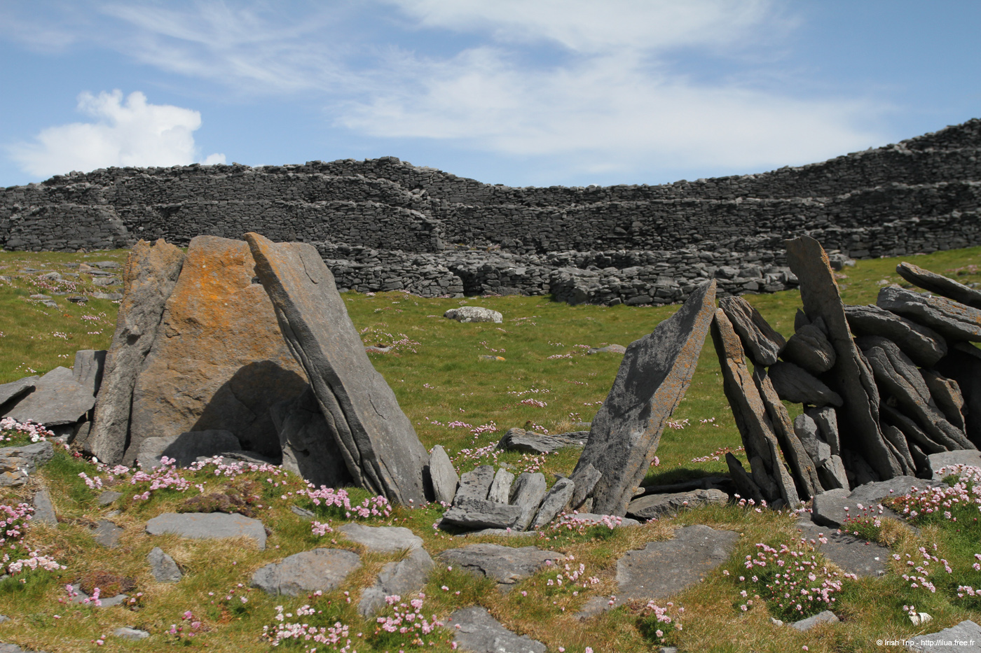 20120507_arandunduchathairin26