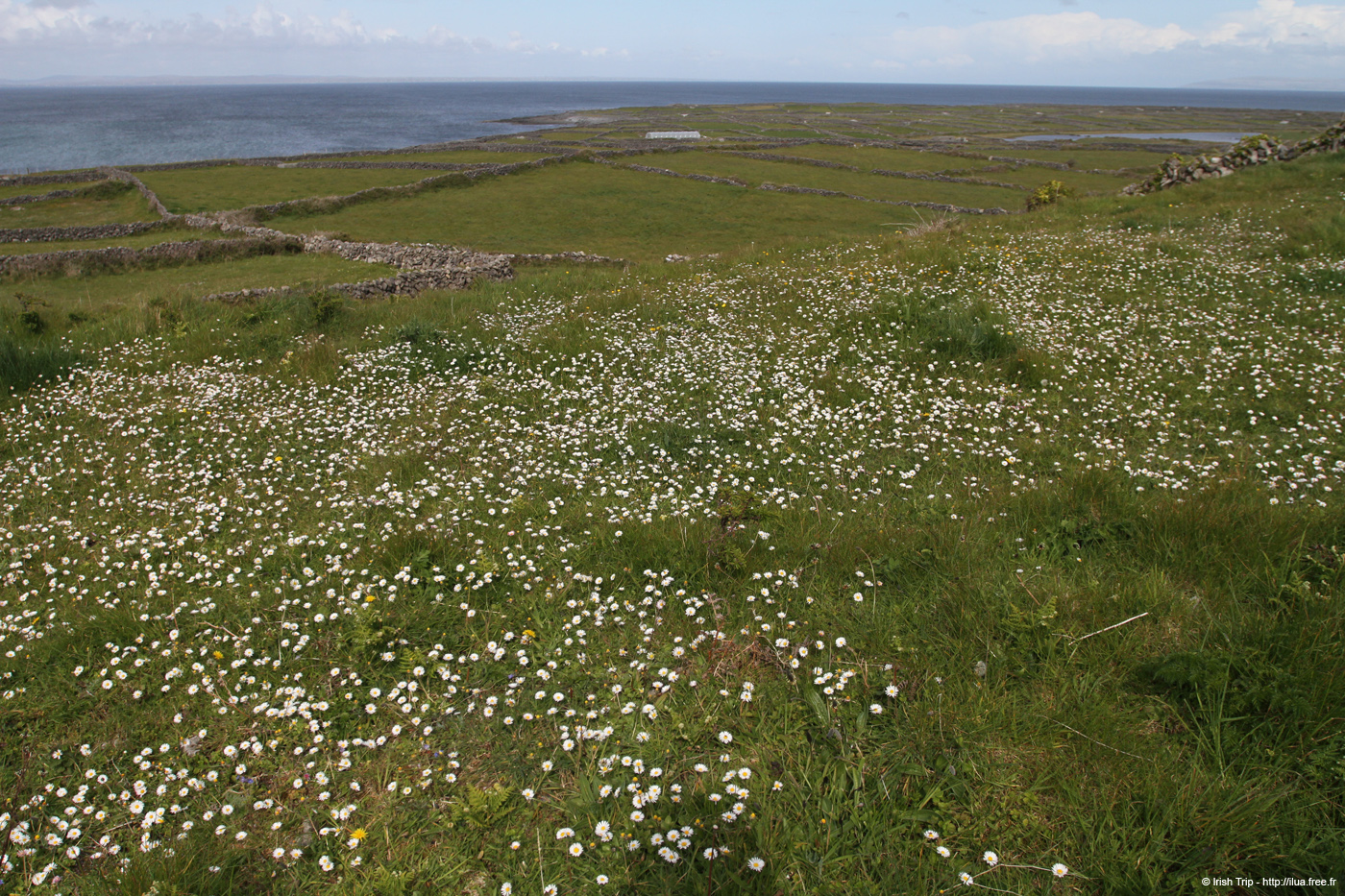 20120507_aranmainistircoast4