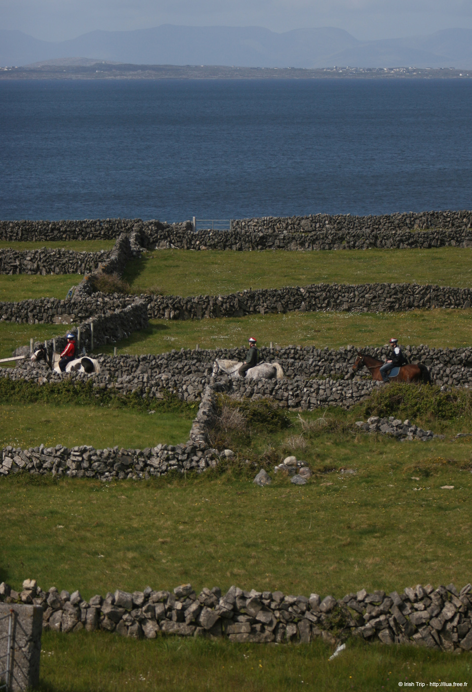20120507_aranmainistircoasthorsing2