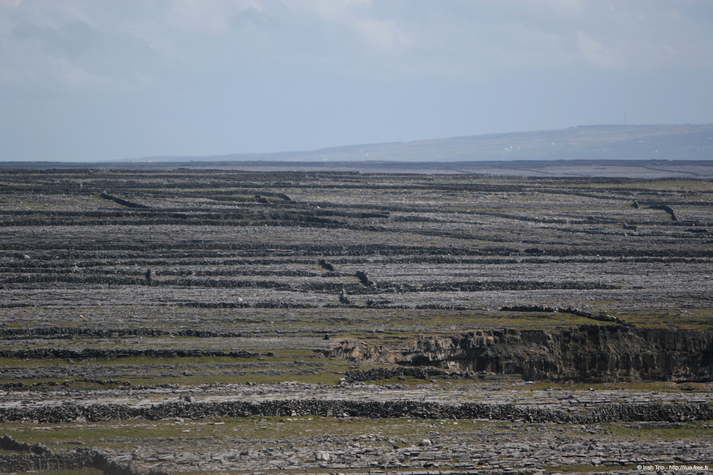 20120507_aranoghillfields04