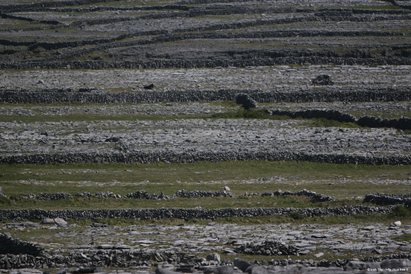 20120507_aranoghillfields06