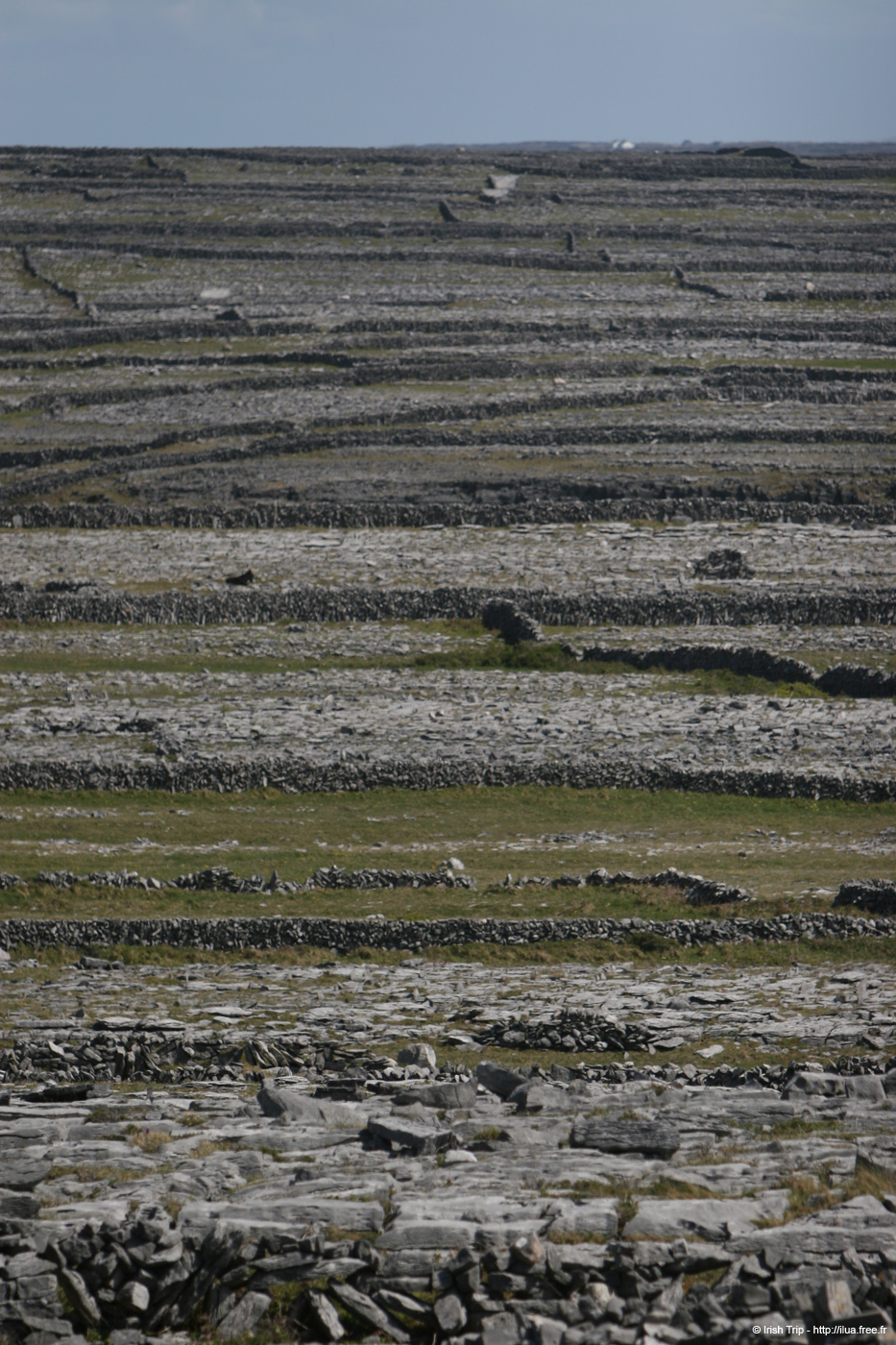 20120507_aranoghillfields08