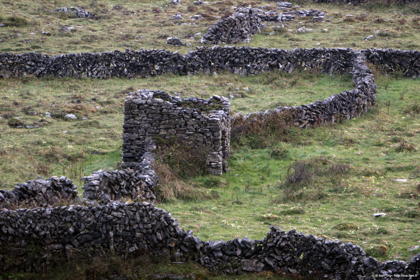 20120507_aranoghillstonewalls08