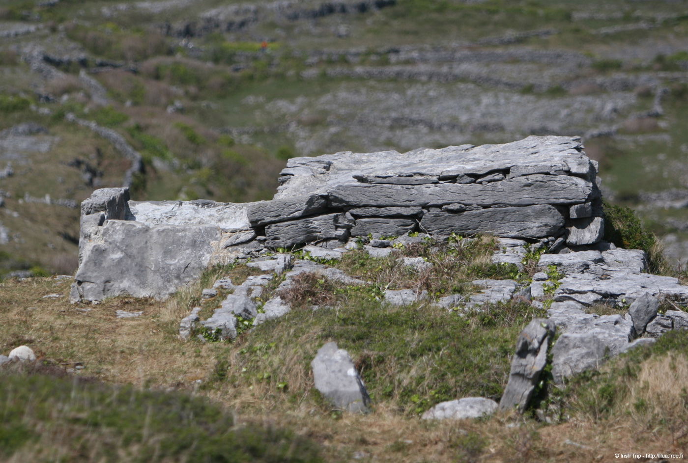 20120507_aranoghilltrough3