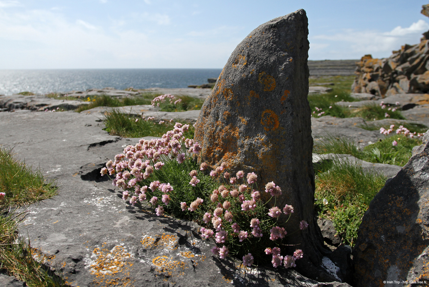 20120507_aranpollnabriskenaghcliffedge29