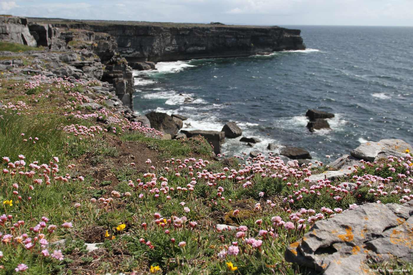 20120507_aranpollnabriskenaghcliffedgetoeast17