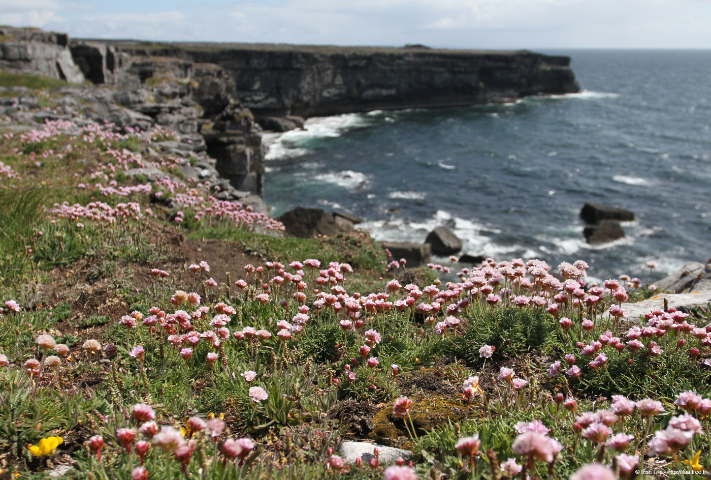 20120507_aranpollnabriskenaghcliffedgetoeast18