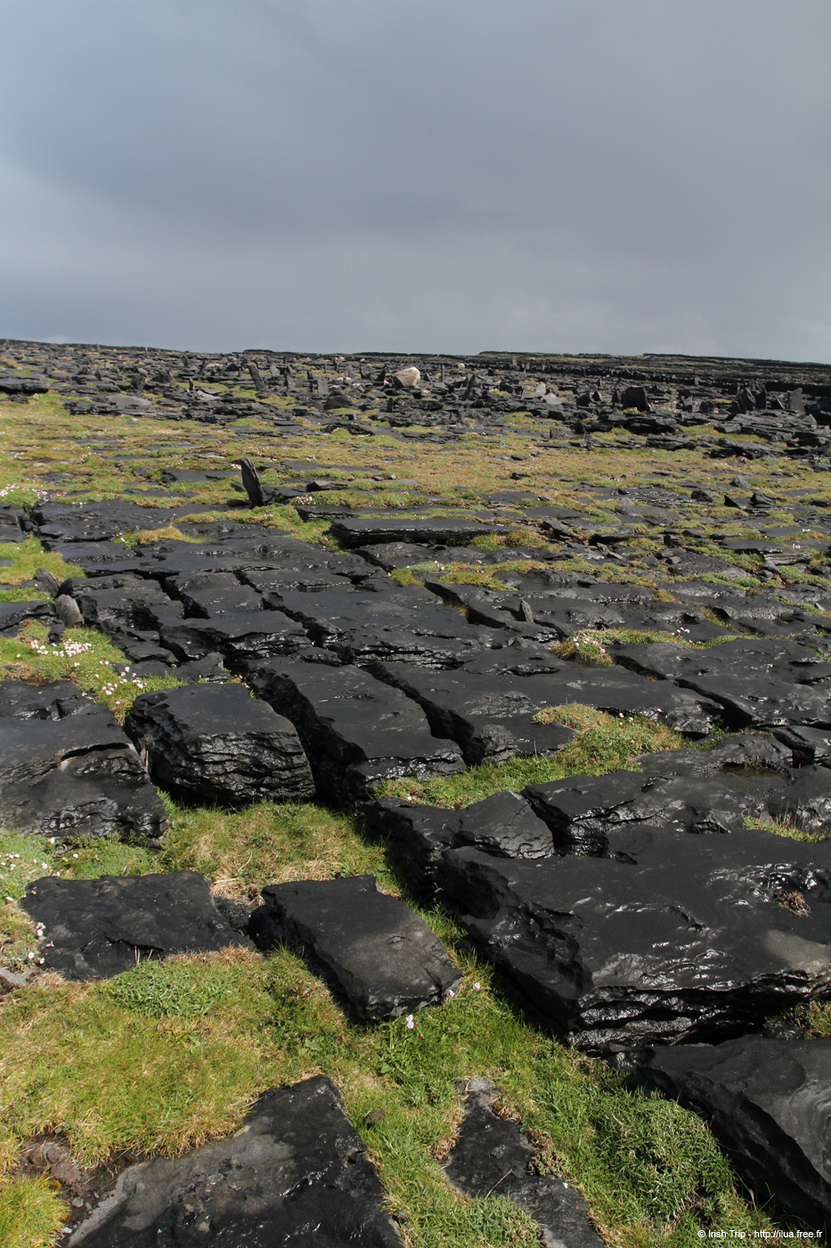 20120507_aranpollnabriskenaghland07