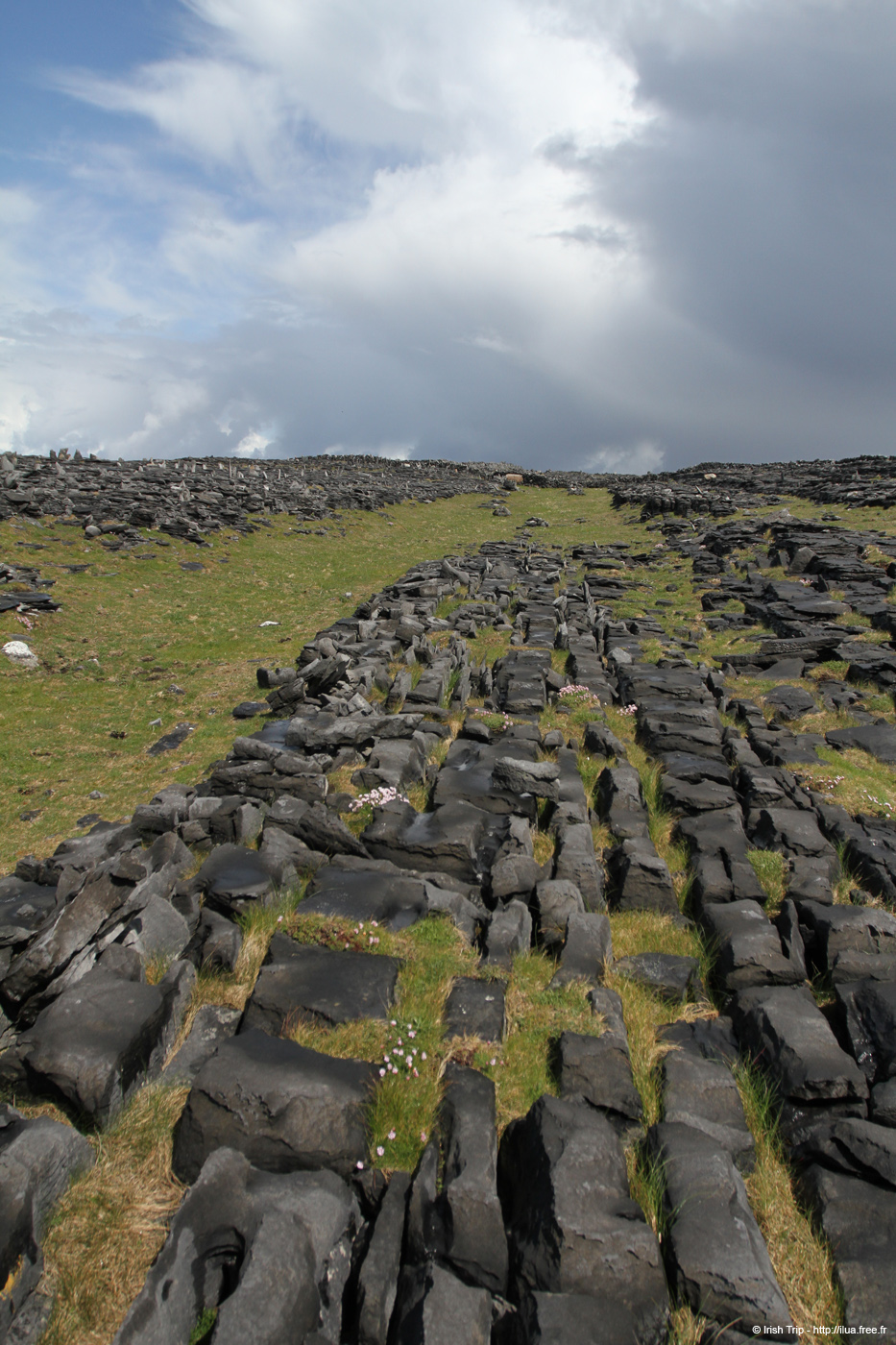 20120507_aranpollnabriskenaghland08