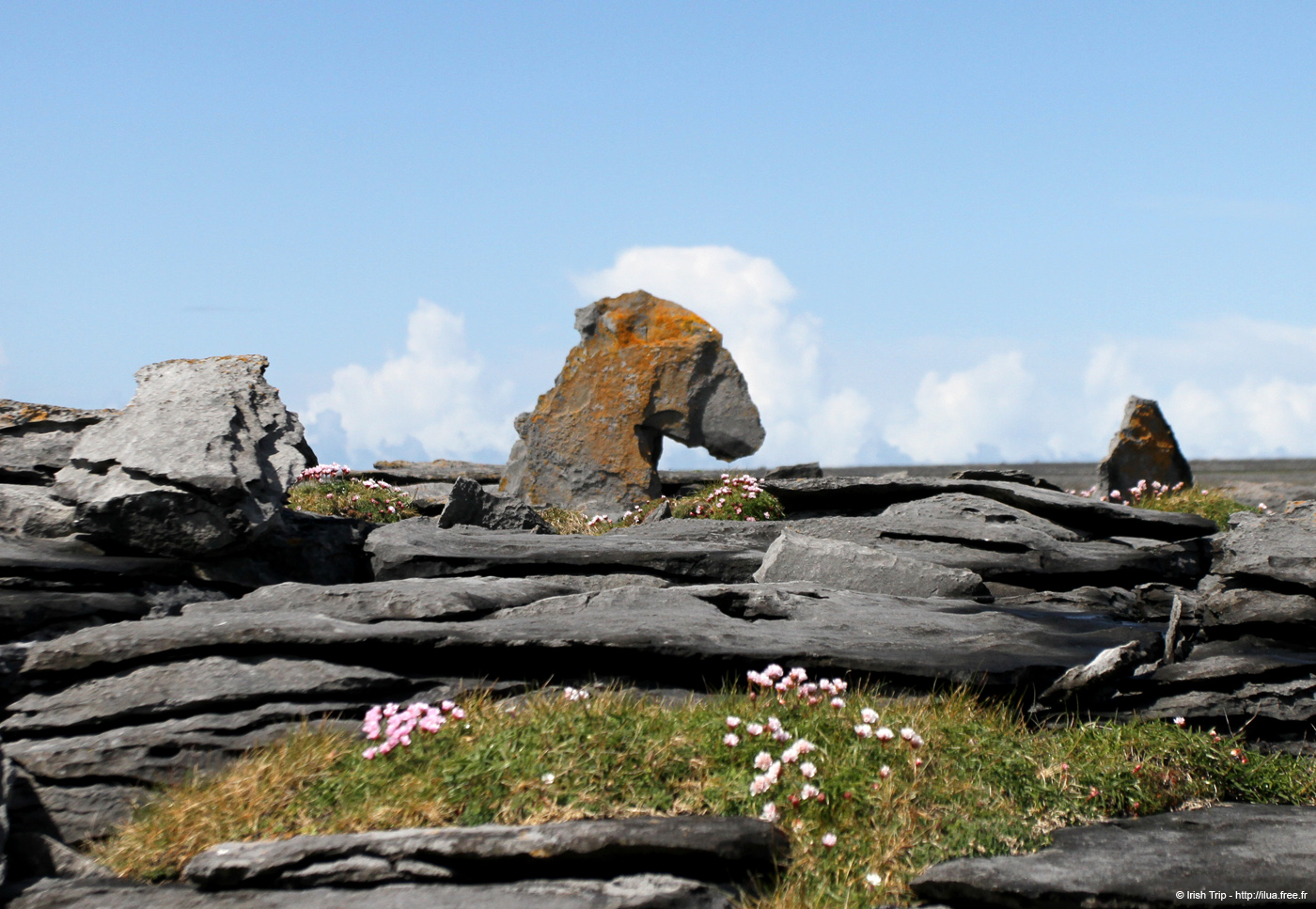 20120507_aranpollnabriskenaghland29