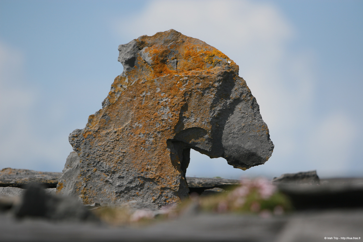 20120507_aranpollnabriskenaghland30