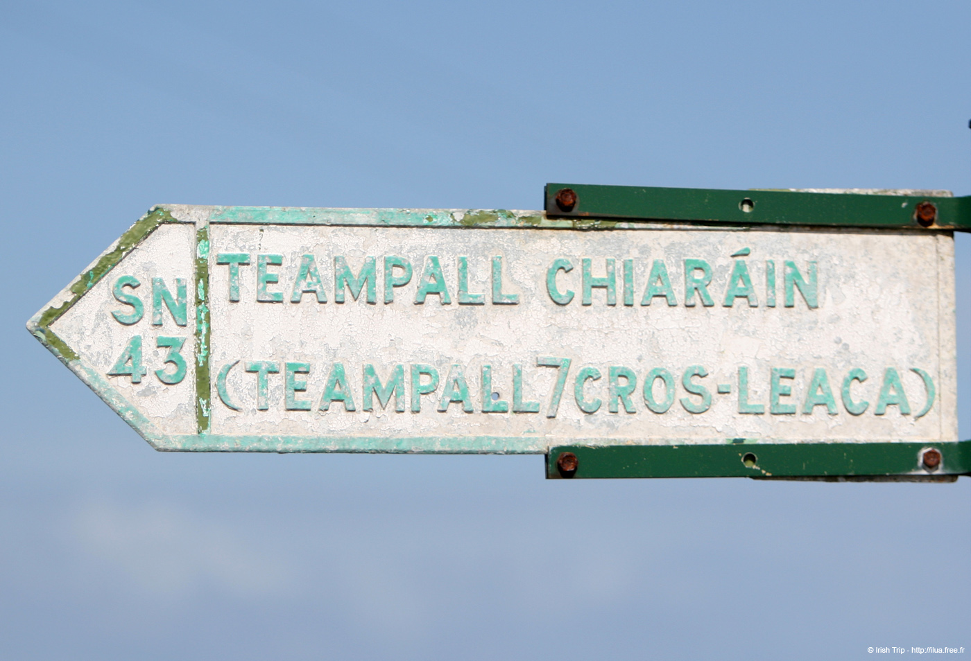 20120507_aranteampallchiarainsign2