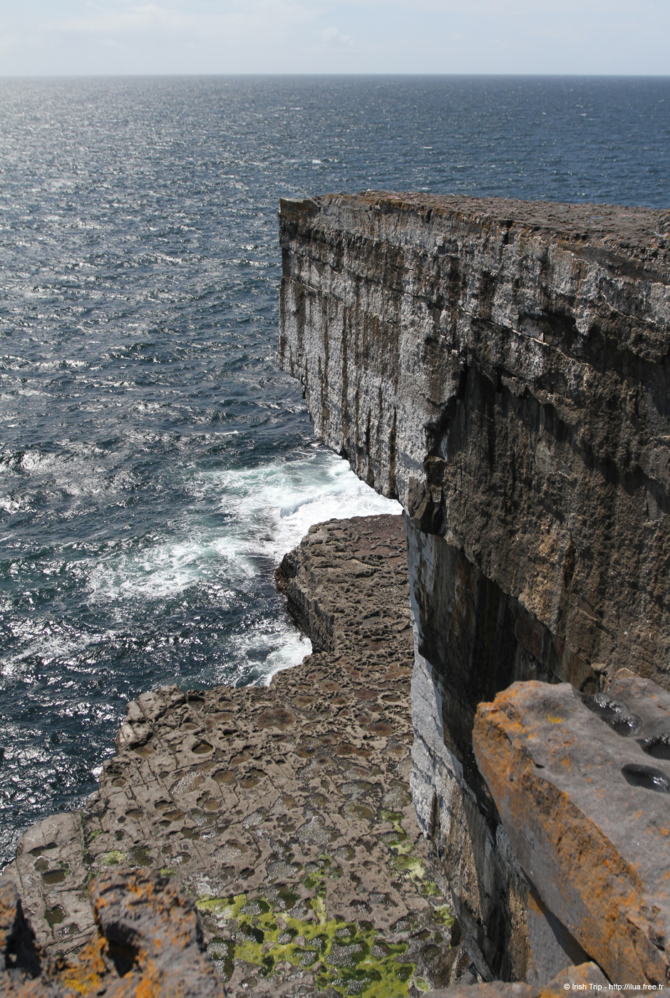 20120507_aranwhirpeashead01