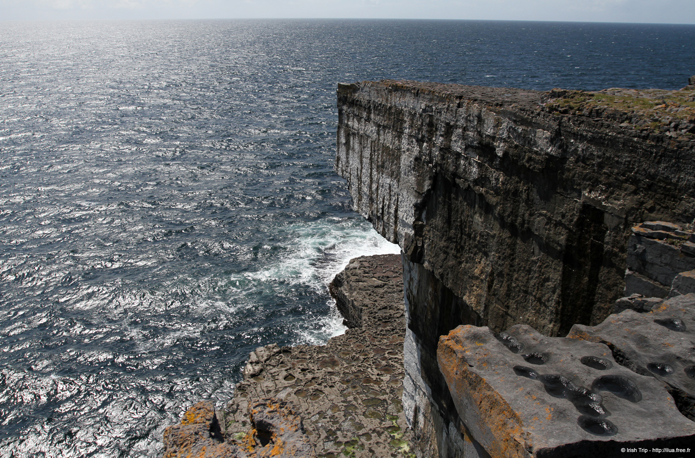 20120507_aranwhirpeashead05