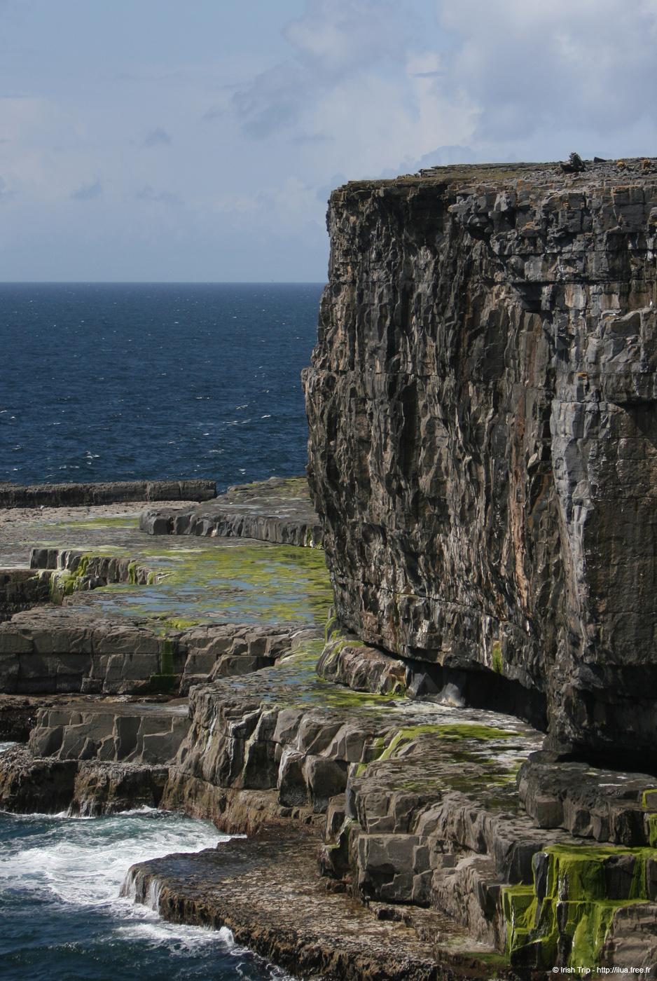 20120507_aranwhirpeashead09