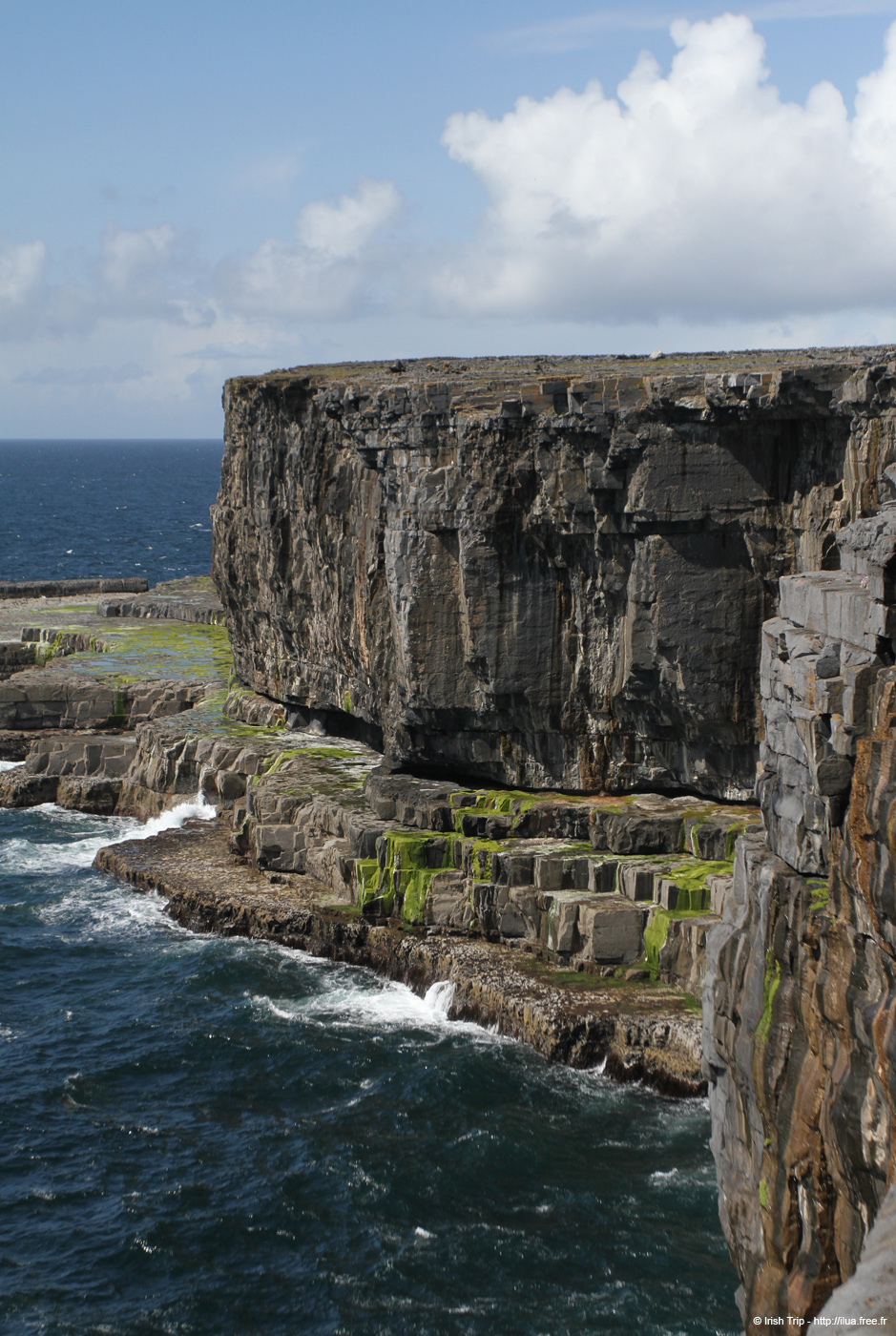 20120507_aranwhirpeashead10