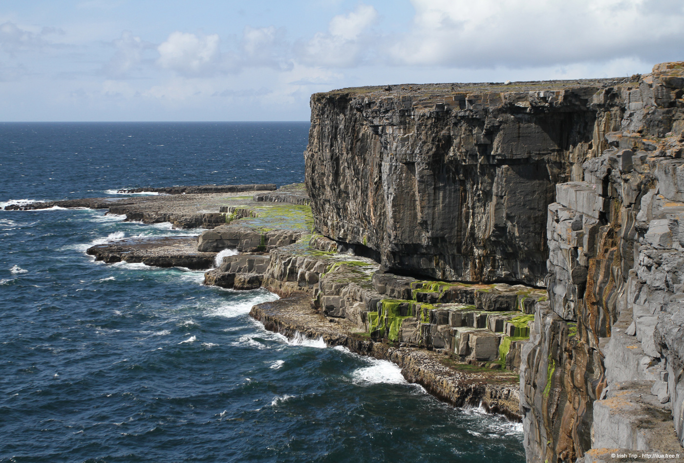 20120507_aranwhirpeashead13