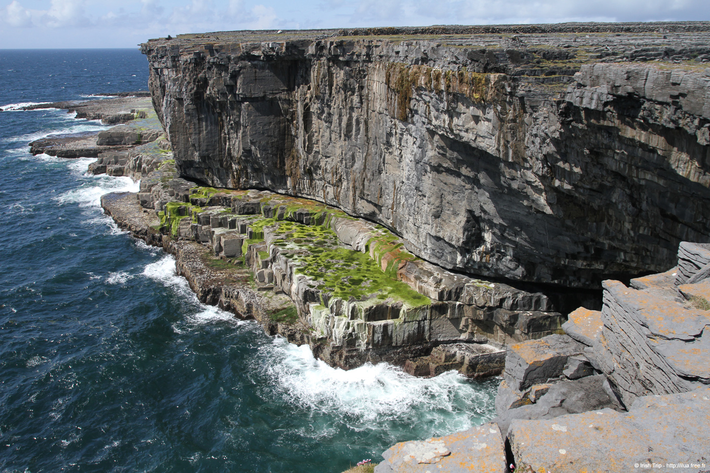 20120507_aranwhirpeashead14
