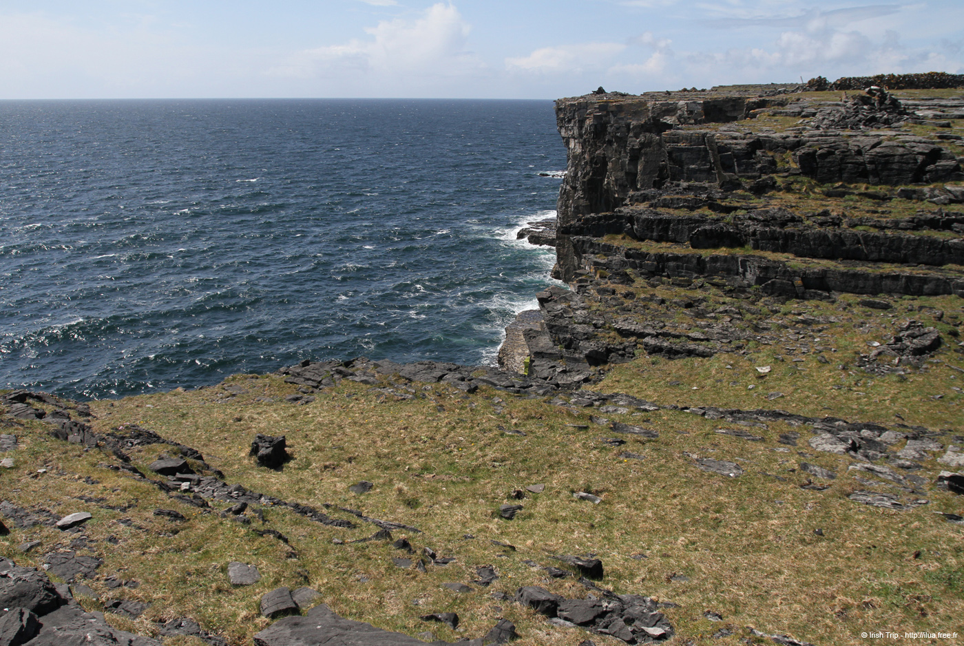 20120507_aranwhirpeashead16