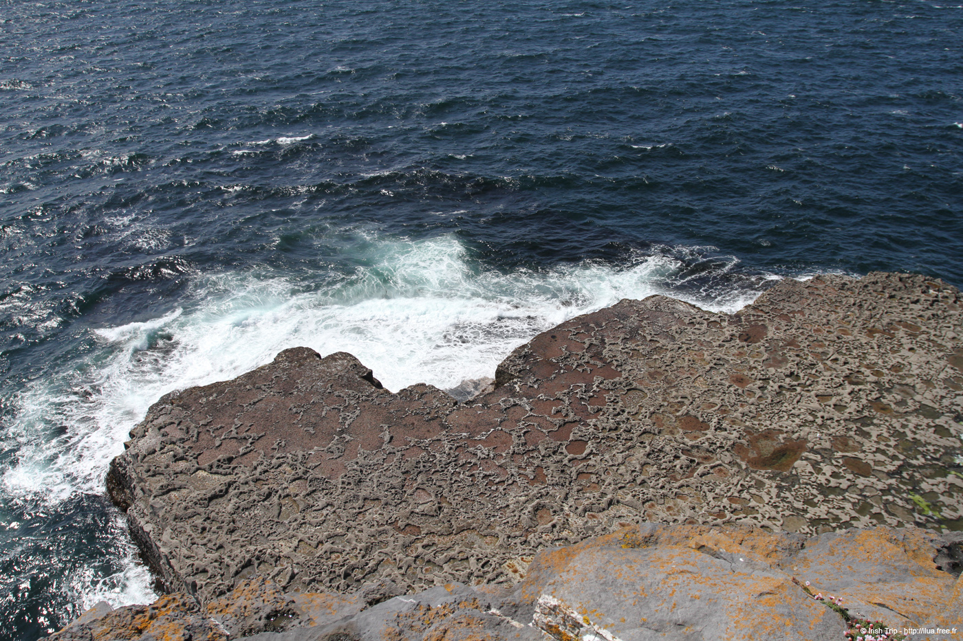 20120507_aranwhirpeashead17