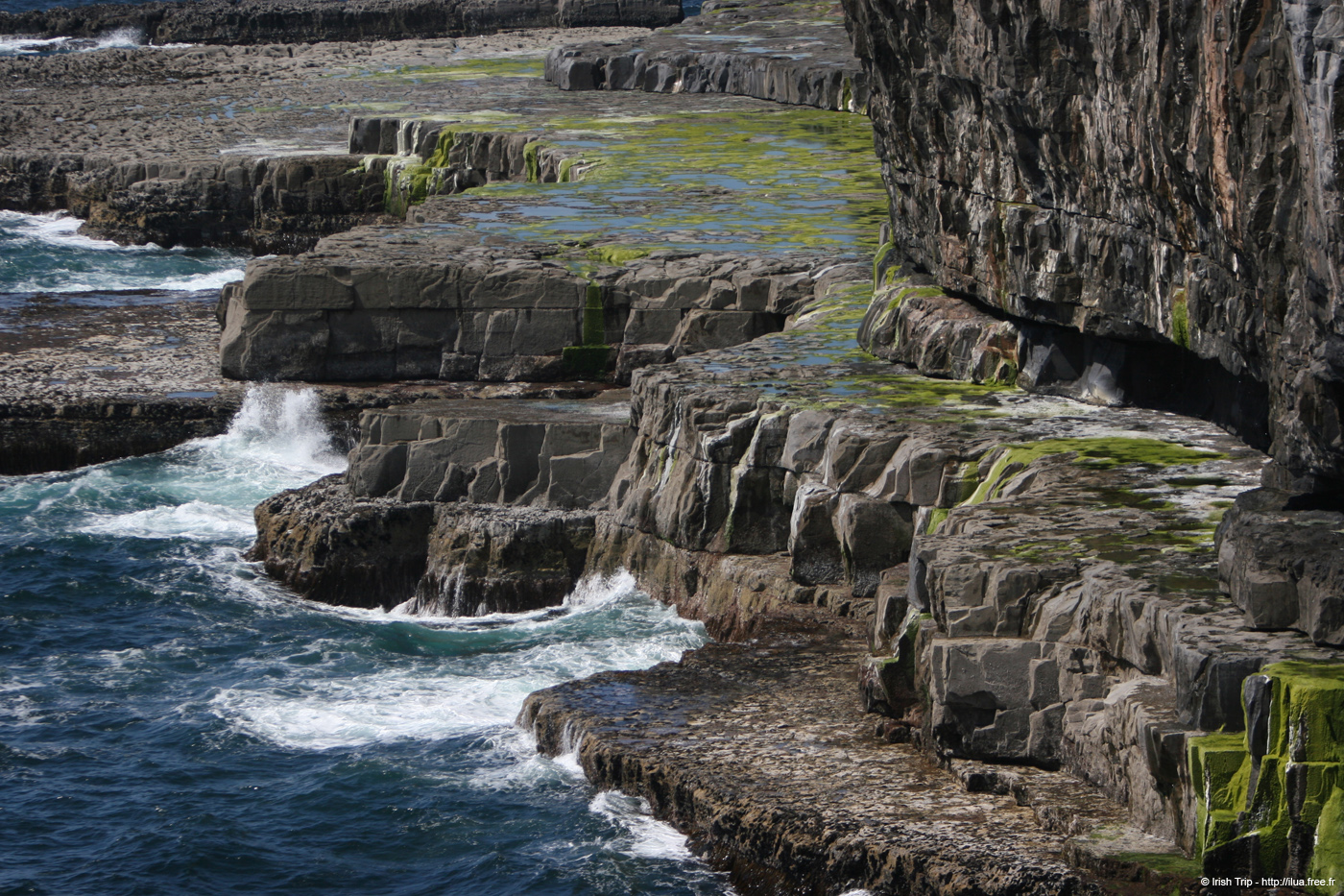 20120507_aranwhirpeashead19