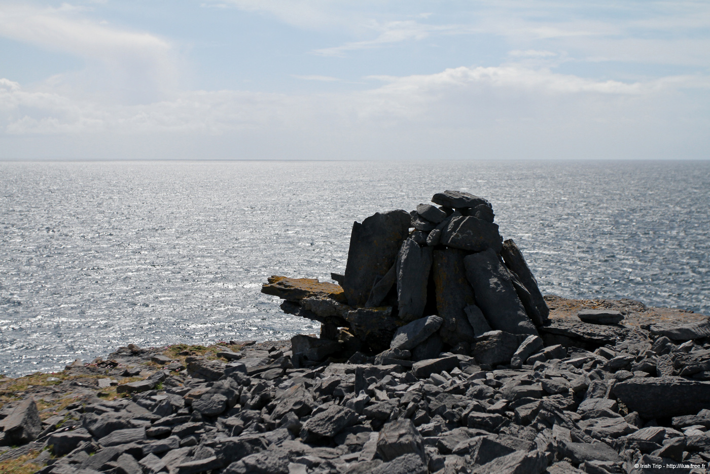 20120507_aranwhirpeashead21