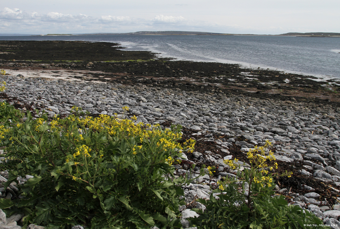 20120508_aranbarfeentabay1