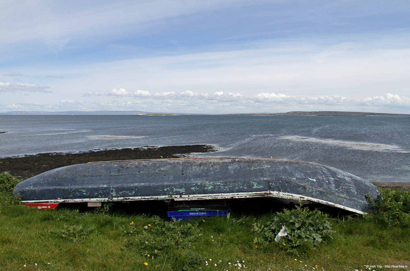 20120508_aranbarfeentabay2
