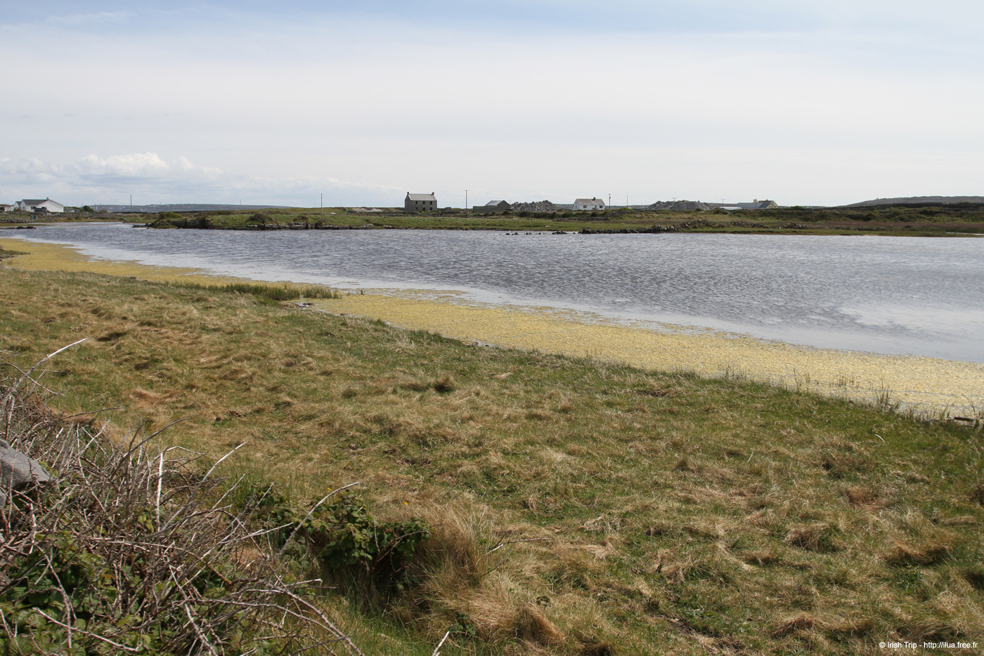 20120508_aranbarfeentalough1