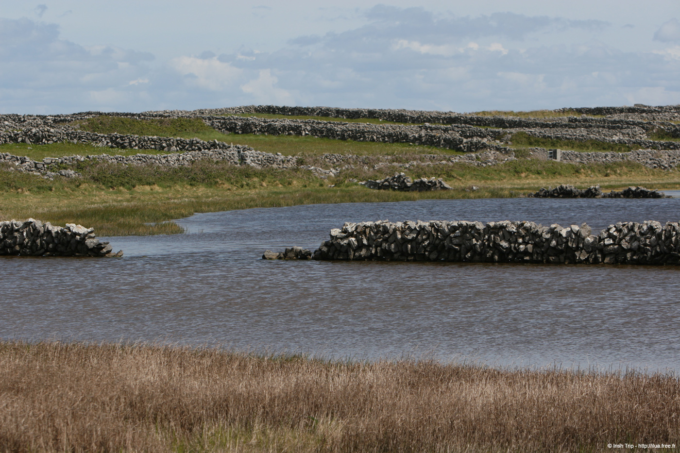 20120508_aranbarfeentalough3