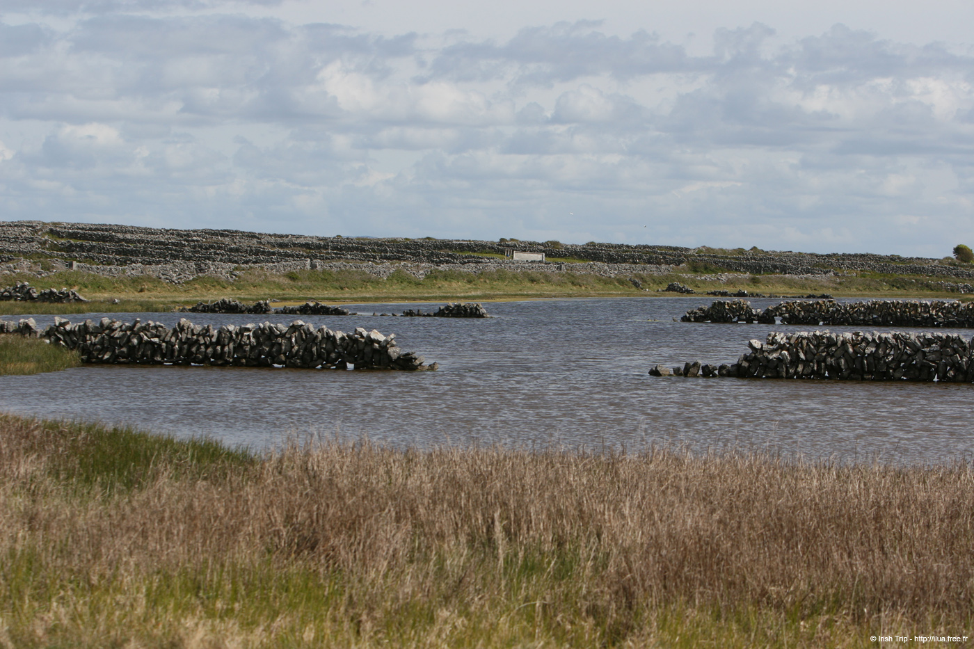 20120508_aranbarfeentalough4