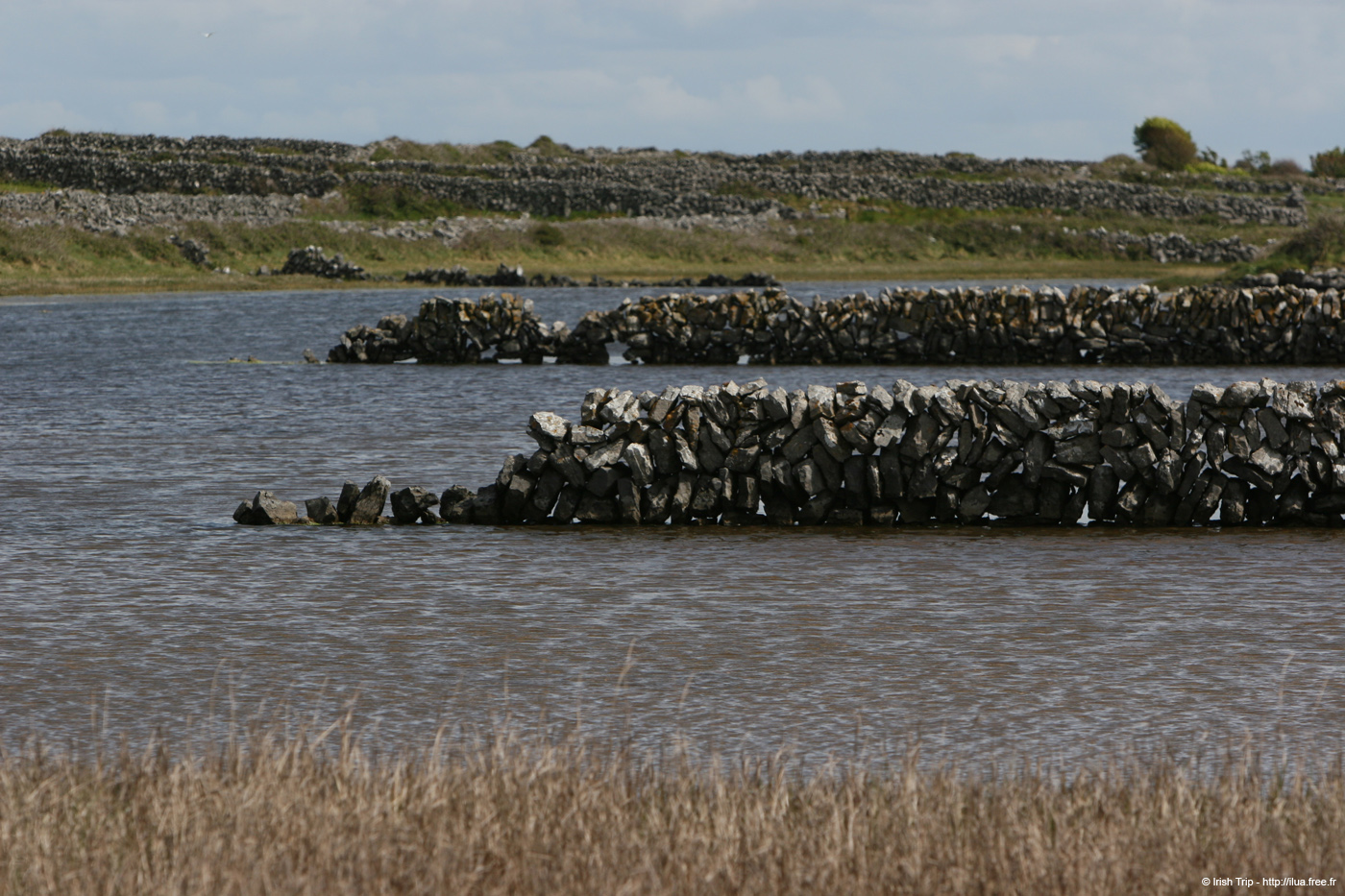 20120508_aranbarfeentalough5