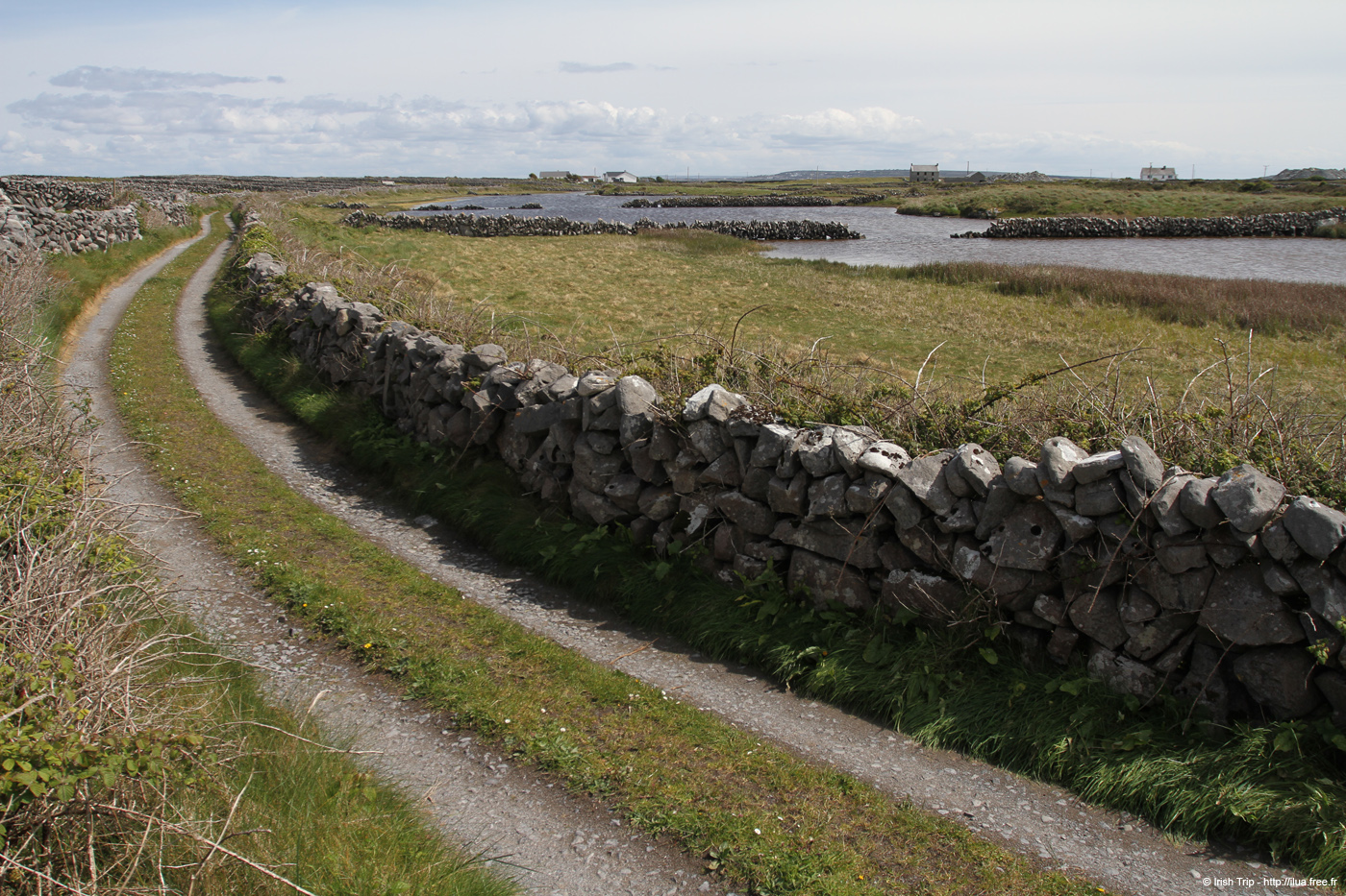20120508_aranbarfeentaloughway1