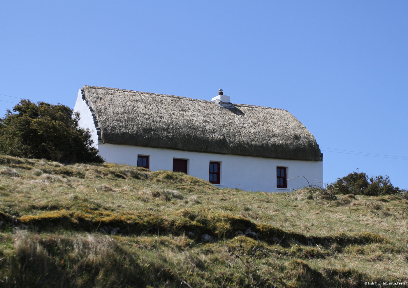 20120508_arancowragh1